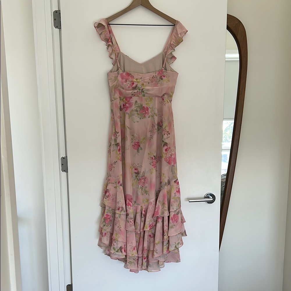 Birdy Grey Ginny Dress in Chiffon Vintage Pink Floral - Picture 5 of 6
